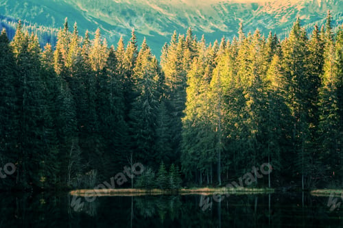 Preview: Sunny day, green trees, mountains background, sunrise, light and shadow, mountain lake, mountains