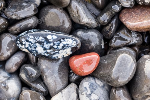 Preview: Pebbles on the beach