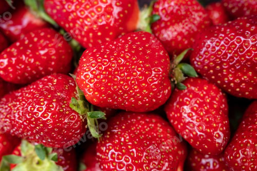 Preview: Ripe aromatic strawberries. Harvesting. Red delicious berry is ready to eat. Top view.