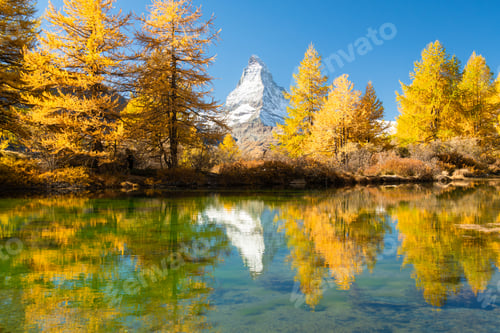 Preview: Lake Grindjisee and Matterhorn Mountain. Yellow Golden Larches, Reflection in Water
