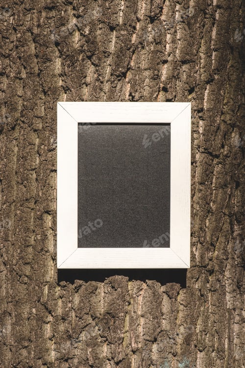 Preview: empty wooden blackboard on grey bark of tree