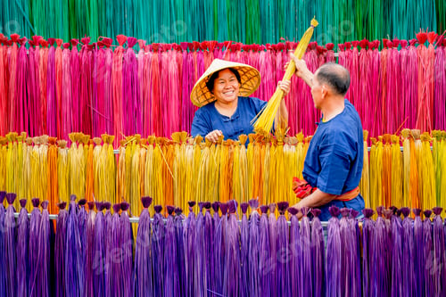 Preview: Asian senior man help senior woman to work with multicolor dry weed that use for making mat