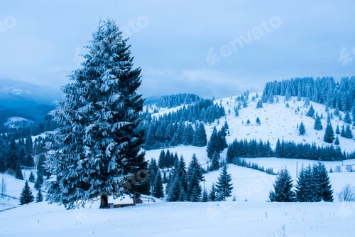 Preview: Winter landscape near Bran in the Carpathian Mountains, Transylvania, Romania