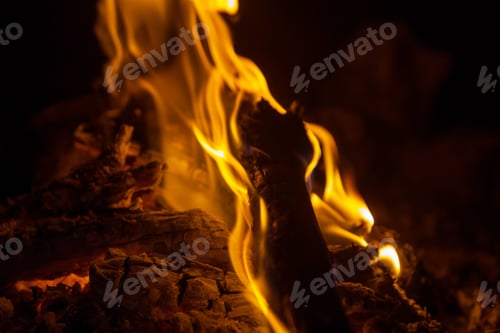 Preview: Campfire