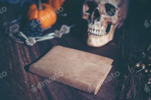 Preview: picture of Halloween concept, vintage filter image