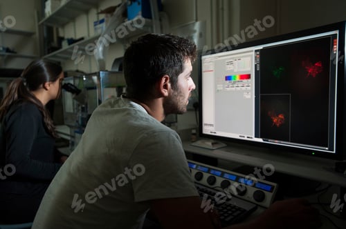 Preview: Scientists analyzing images on a computer screen in a lab