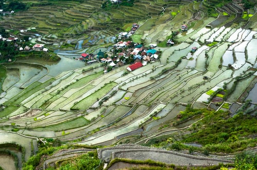 Preview: Rice terraces and village houses. Banaue, Philippines