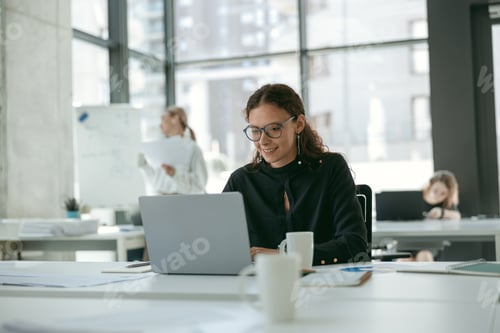 Preview: Smiling stylish businesswoman working on laptop sitting in modern office on colleagues background