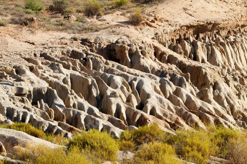 Preview: Severe soil erosion - South Africa