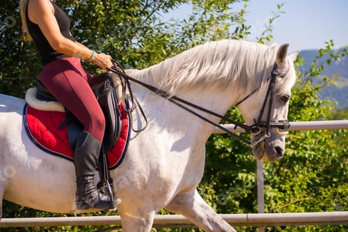 Preview: Unrecognizable blonde girl riding on a white horse, dressed black rider with safety hat