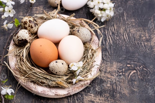 Preview: Easter composition with eggs and blooming branch