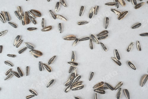 Preview: Black sunflower seeds scattered on stone surface