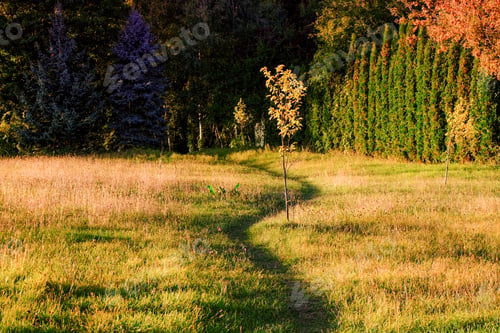 Preview: Bright autumn landscape