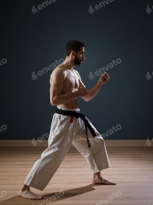 Preview: Karateka Sensei at work