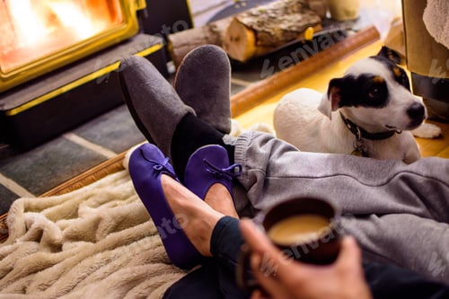 Preview: Relaxing at home by a fireplace cottage get away and tranquility man and woman with cute dog