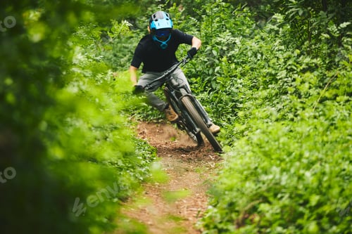 Preview: Mountain bike, man and cycling in forest for adventure, freedom and power of off road challenge on
