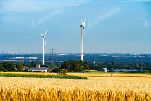 Preview: Landscape of cultivated fields with trees and aligned windmills under a blue sky