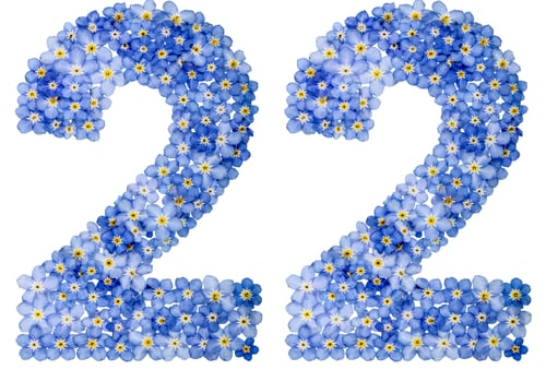 Preview: Arabic numeral 22, twenty two, from blue forget-me-not flowers