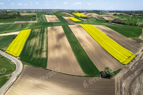 Preview: Colorful patterns in crop fields at farmland, aerial view, drone photo