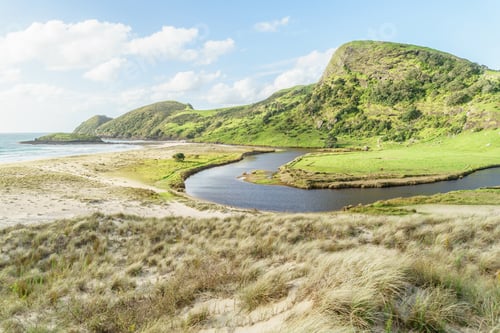 Preview: scenic shot of green mountain with curvy river, Spirits Bay, New Zealand
