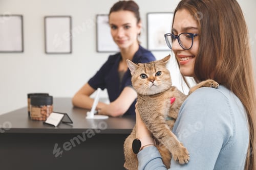 Preview: Young woman with cat at the reception in vet clinic. Animal health care concept