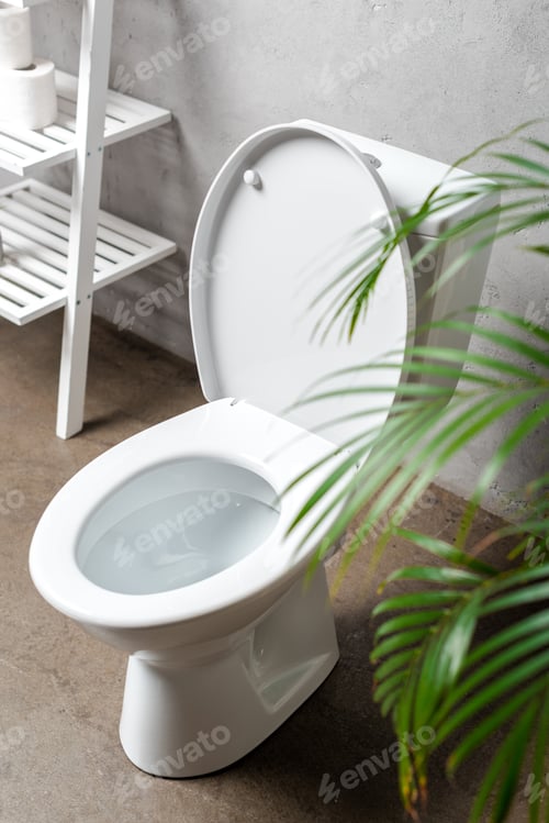 Preview: selective focus of palm tree and toilet bowl near rack