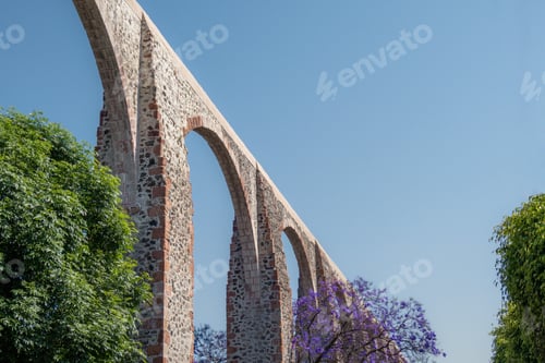 Preview: Queretaro Mexico aqueduct with jacaranda tree and purple flowers