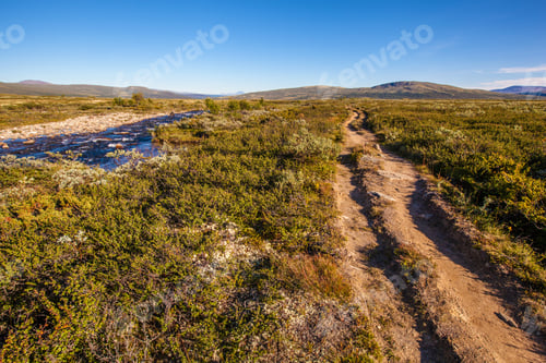 Preview: sunny landscape Norway mountains Dovrefjell