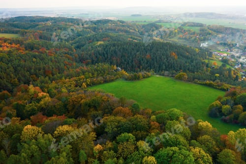 Preview: Autumn colorful trees at sunrise aerial view