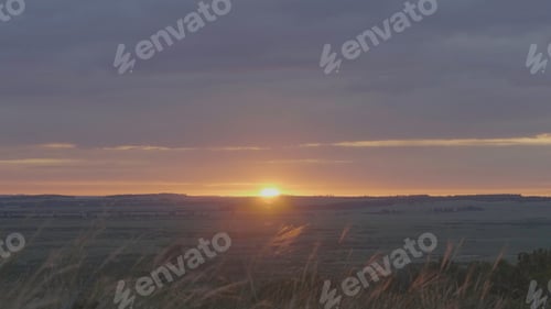 Preview: Grass in the wind at sunrise. Summer grass meadow of pleasant wind with bright sunlight sunny spring