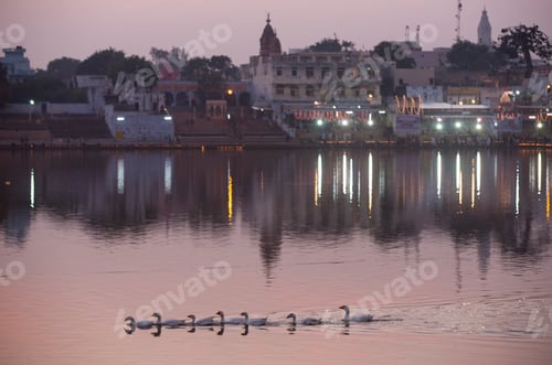 Preview: View of waterfront buildings and geese swimming on Pushkar Lake at dusk, Rajasthan, India