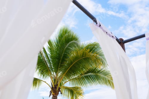 Preview: cabana with white curtains on the beach and palm tree on a background