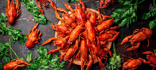 Preview: Boiled crayfish on a wooden cutting board with parsley.