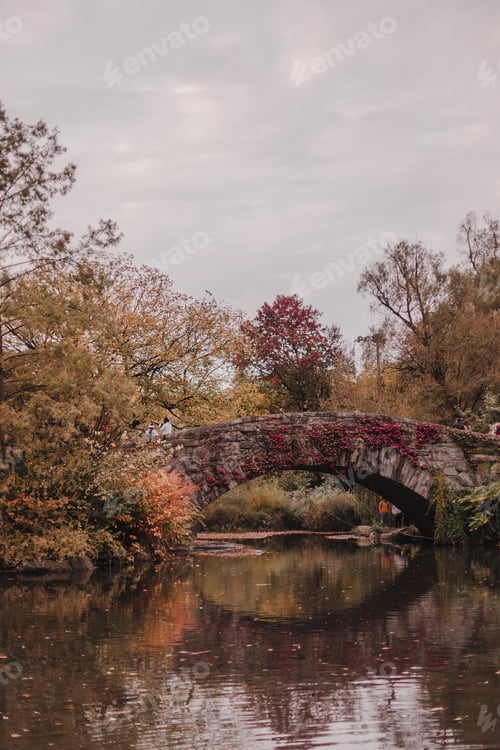 Preview: Autumn nature in Central Park. Yellow leaves. Fall colors. Bridge over the water.Yellow orange trees