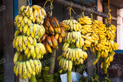 Preview: Bunches of bananas fresh cut from a tree on sale in the market in Asia