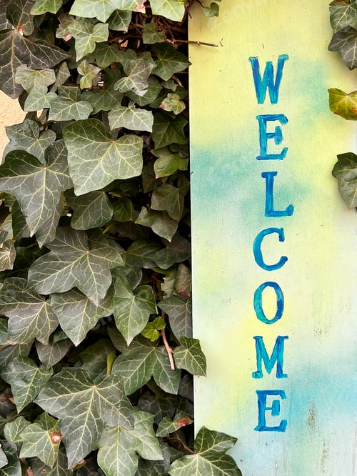 Preview: Word "Welcome" Written on Old Blue Yellow Rustic Wooden Background With Green Liana Plants Vertical