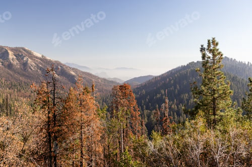 Preview: Mountain landscape in Yosemite National Park