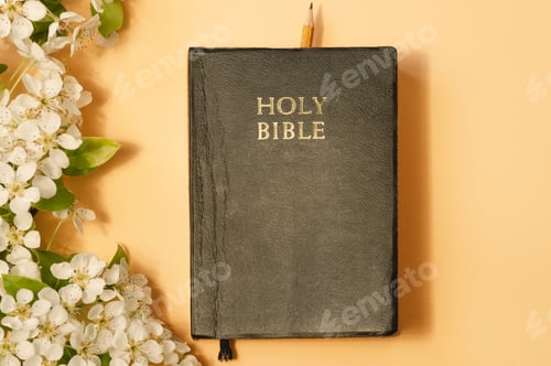 Preview: Reading the bible