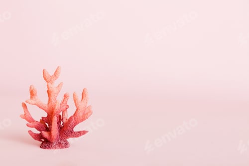 Preview: Summer time concept with sea shells or starfish on a table background with copy space for text
