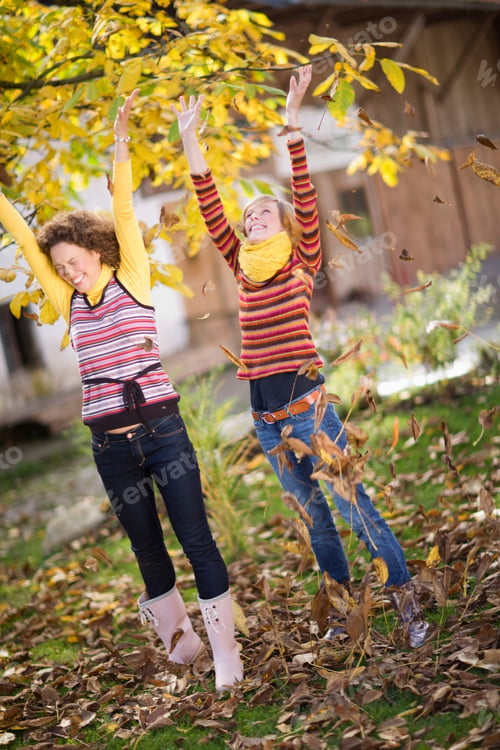 Preview: autumnal gardening