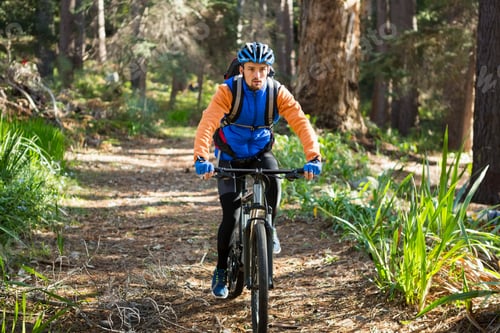 Preview: Male Mountain Biker Riding Bicycle In The Forest On A Sunny Day