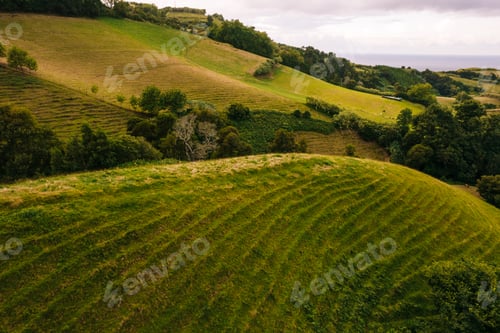 Preview: Agricultural plantations on hills under cloudy sky