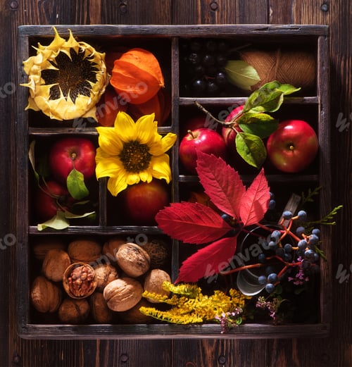 Preview: fall season backdrop