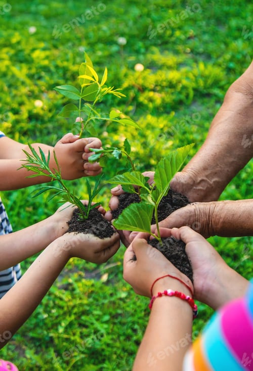 Preview: Grandmother and child hold a tree sprout in their hands. Selective focus.