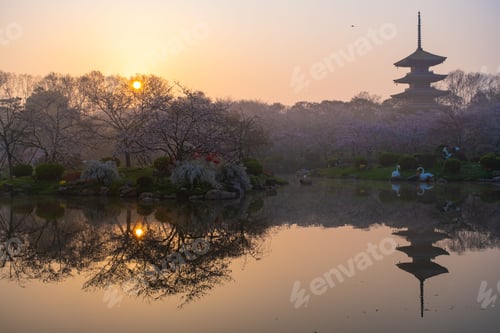Preview: Spring scenery of East Lake Cherry Blossom Garden in Wuhan, Hubei, China