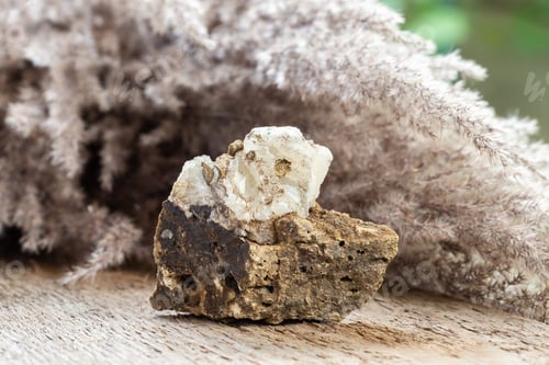 Preview: Raw White Aragonite Crystal Mineral Stone on Wood