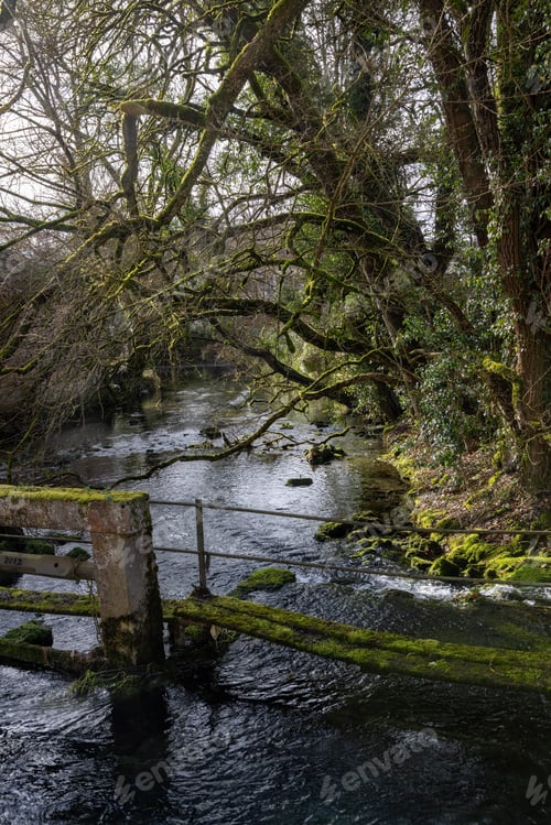 Preview: Blautopfsee in Blaubeuren with tributary and old wooden bridge
