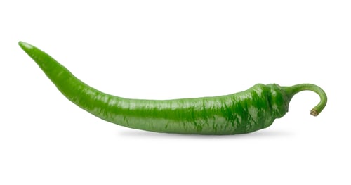 Preview: One green chili pepper closeup isolated on white background