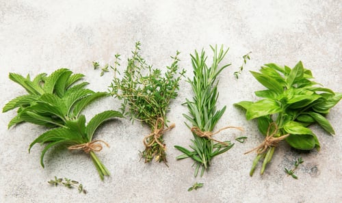 Preview: Freshly picked herbs tied in bunches on a textured surface