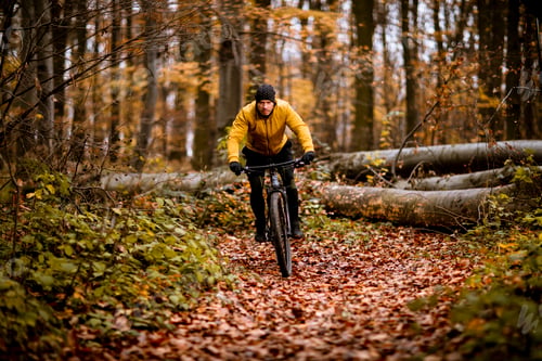 Preview: Young man biking through autumn forest